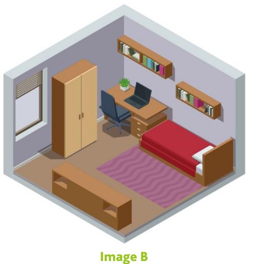 Image B